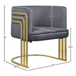 Rays Velvet Upholstered Accent Chair in Grey