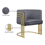Rays Velvet Upholstered Accent Chair in Grey