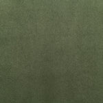 Relax Velvet Upholstered Chair in Green