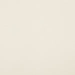 Riccio Vegan Leather Upholstered Dining Arm Chair in Cream