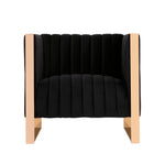 Trillium Velvet Lounge Chair in Black