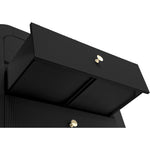 Artisto Ash Veneer Chest in Black