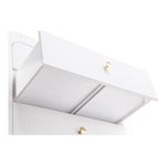 Artisto Ash Veneer Chest in White