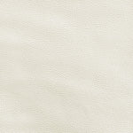 Roundhill Vegan Leather Upholstered Counter Stool in Cream