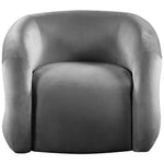 Roxbury Velvet Upholstered Accent Chair in Grey