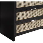 Sage Solid Wood And Natural Cane Wood Chest in Black