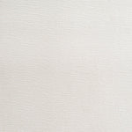 Caspian Chenille Fabric Upholstered Chair in Cream