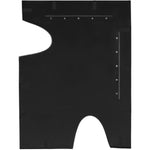 Soleil Gold Accent Mirror in Black