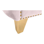 Michelle Velvet Upholstered Chair in Pink