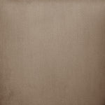 Tierra Velvet Upholstered Dining Chair in Beige