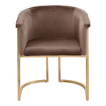 Tierra Velvet Upholstered Dining Chair in Brown