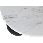 Treviso Marble Top And Mango Wood Base Coffee Table in White