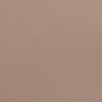 Vanda Vegan Leather Upholstered Dining Chair in Tan
