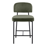 Zarelle Performance Fabric Upholstered Counter Stool in Green