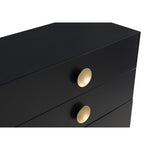 Zayne Wood Veneer Chest in Black
