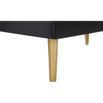 Zayne Wood Veneer Chest in Black