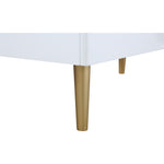Zayne Wood Veneer Chest in White