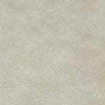 Branna Concrete Indoor/Outdoor Coffee Table in Beige