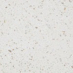 Branna Concrete Indoor/Outdoor Coffee Table in Terrazzo
