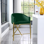 Xavier Velvet Upholstered Counter Stool (867-C) in Green