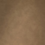 Blake Vegan Leather Upholstered Dining Chair in Tan