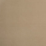 Bocceli Velvet Upholstered Counter Stool in Beige