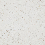 Jula Concrete Indoor/Outdoor End Table in Terrazzo