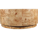 Burl Wood Coffee Table in Natural