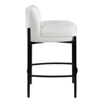 Burton Chenille Fabric Upholstered Counter Stool in Cream