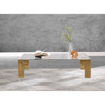 Casper Rectangular Glass Top, Acrylic And Metal Base Coffee Table in Gold
