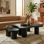 Cove Oak Veneer And Solid Wood 2pc. Coffee Table in Black