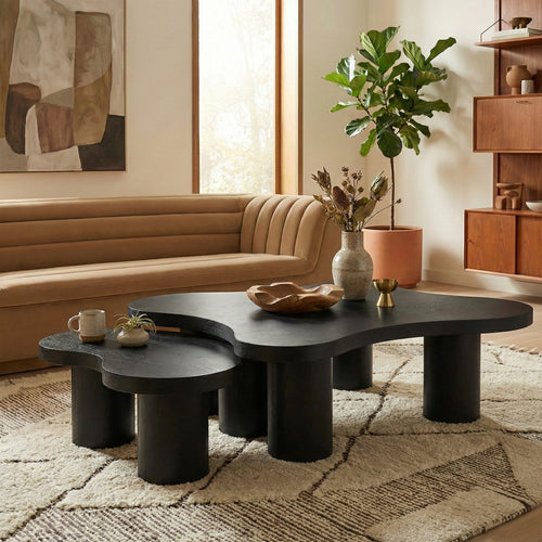 Cove Oak Veneer And Solid Wood 2pc. Coffee Table in Black