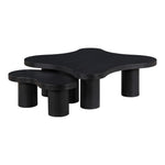 Cove Oak Veneer And Solid Wood 2pc. Coffee Table in Black