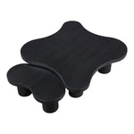 Cove Oak Veneer And Solid Wood 2pc. Coffee Table in Black