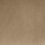 Alder 93.5" Velvet Upholstered Sofa in Beige