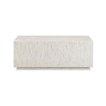 Earl 48" Shell Coffee Table in Cream