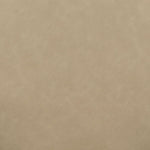 Vina Vegan Leather Dining Chair in Taupe