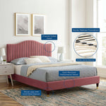 Juniper King Velvet Platform Bed with Wood and Gold Legs in Dusty Rose