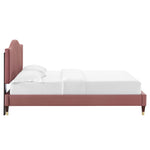 Juniper King Velvet Platform Bed with Wood and Gold Legs in Dusty Rose