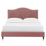 Juniper King Velvet Platform Bed with Wood and Gold Legs in Dusty Rose