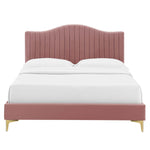 Juniper King Velvet Platform Bed with Gold Metal Legs in Dusty Rose