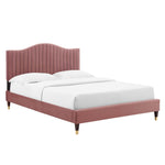 Juniper King Velvet Platform Bed with Wood and Gold Legs in Dusty Rose