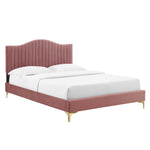 Juniper King Velvet Platform Bed with Gold Metal Legs in Dusty Rose
